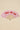 Accessoire Ritchy Rose Pois ROSE POIS